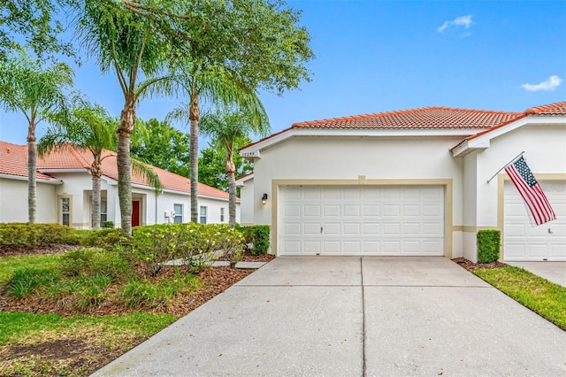 10255 Devonshire Lake Dr, Tampa, FL 33647 - photo 1
