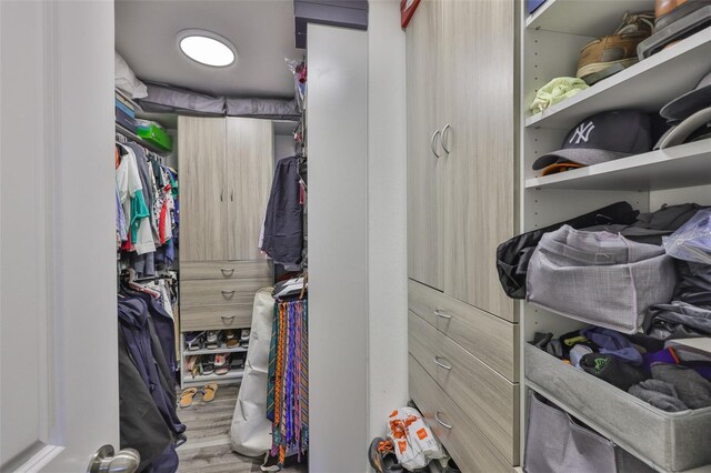 6512 Trent Creek Dr, Sun City Center, FL 33573 - walk in closet with wood finished floors