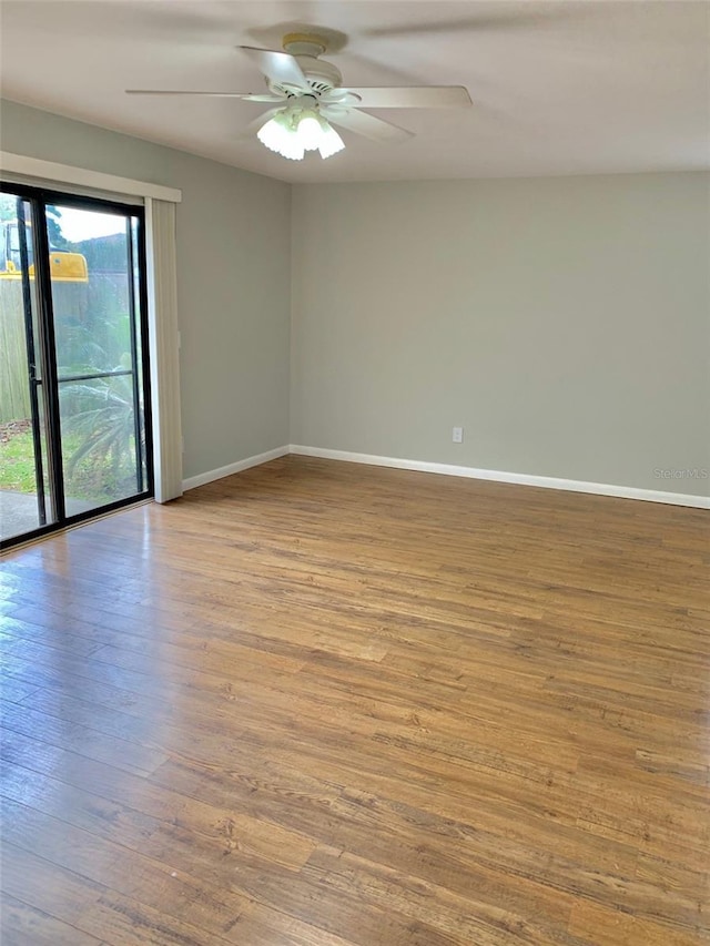 1515 Bayshore Blvd Unit 38, Dunedin, FL 34698 - empty room with wood finished floors and a ceiling fan