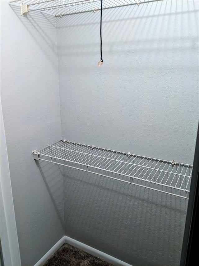 1515 Bayshore Blvd Unit 38, Dunedin, FL 34698 - view of spacious closet