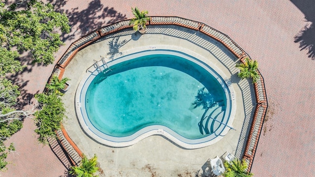 1515 Bayshore Blvd Unit 38, Dunedin, FL 34698 - view of pool featuring a jacuzzi