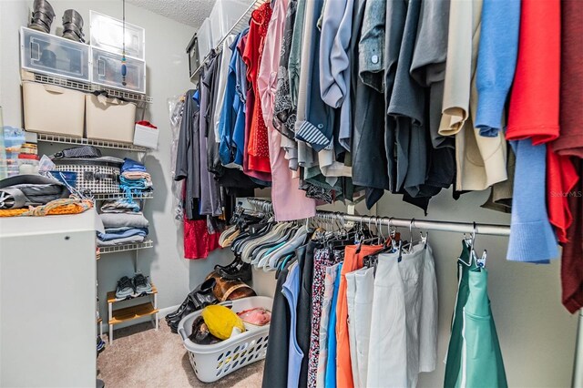 1515 Bayshore Blvd Unit 38, Dunedin, FL 34698 - walk in closet featuring carpet floors
