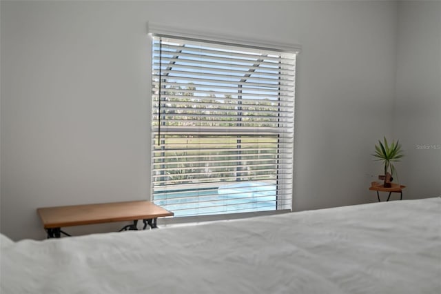 5511 Badini Way, Palmetto, FL 34221 - view of bedroom