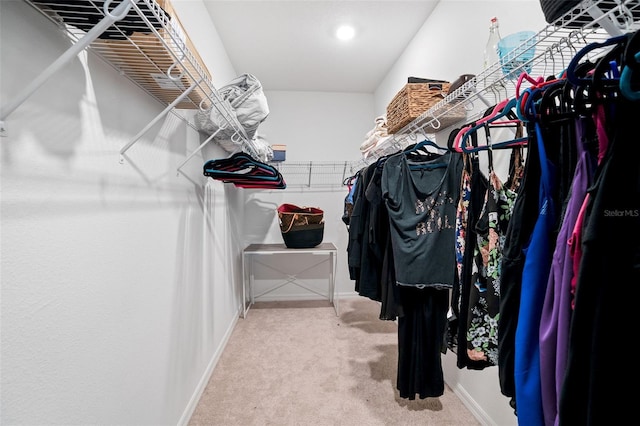 5511 Badini Way, Palmetto, FL 34221 - walk in closet featuring carpet floors