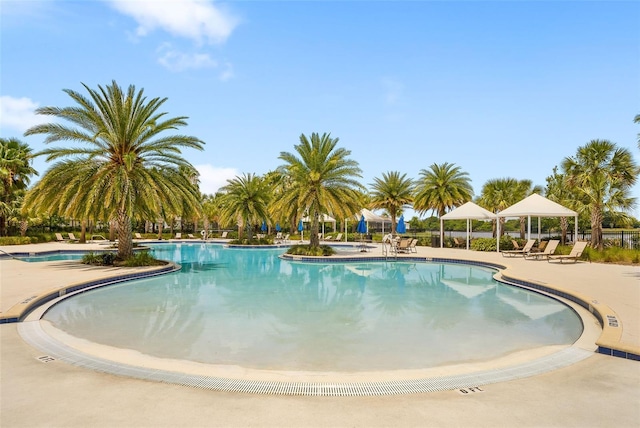 5511 Badini Way, Palmetto, FL 34221 - community pool with a patio and a gazebo
