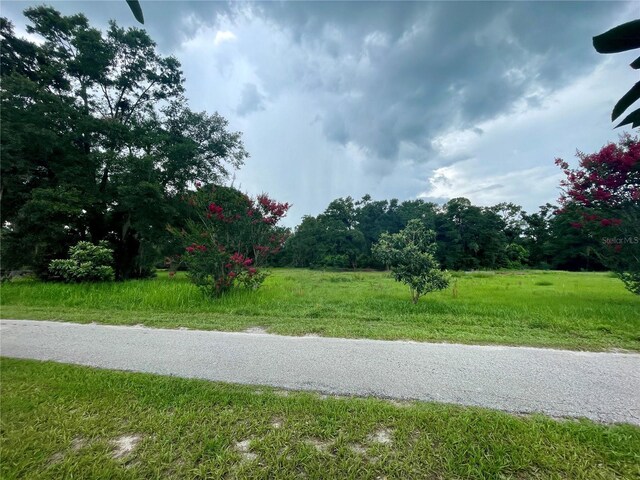 540 Haynes Rd, Lakeland, FL 33809 - photo 3