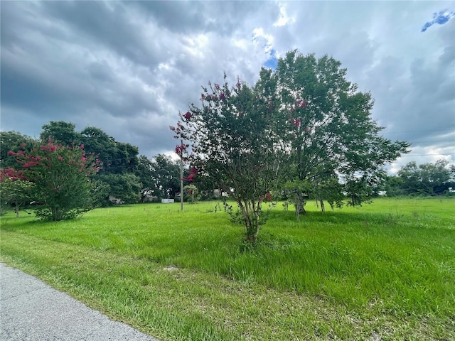 540 Haynes Rd, Lakeland, FL 33809 - photo 5