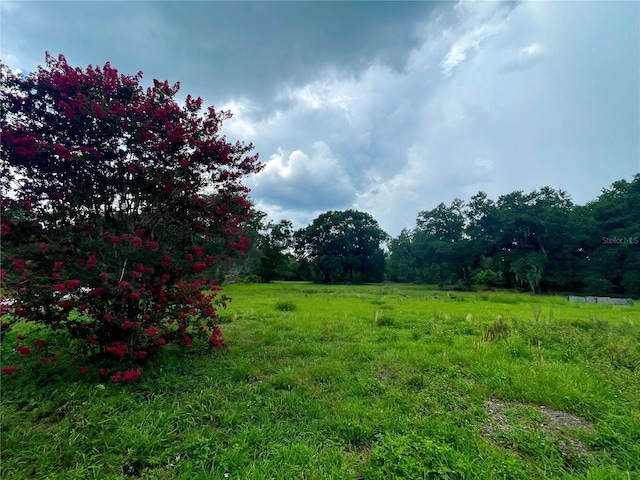 540 Haynes Rd, Lakeland, FL 33809 - photo 7