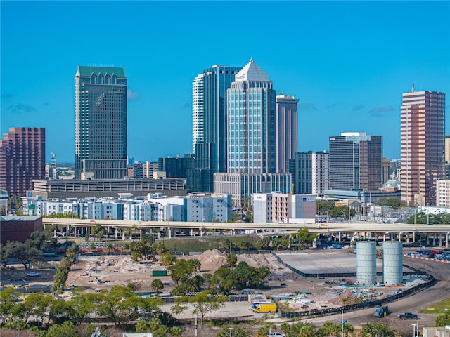 4221 W Spruce St Unit 2302, Tampa, FL 33607 - skyline view