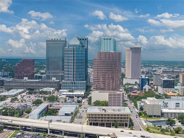 4221 W Spruce St Unit 2302, Tampa, FL 33607 - city view