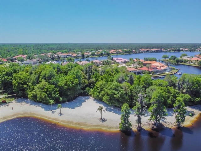 10724 Cory Lake Dr, Tampa, FL 33647 - photo 42