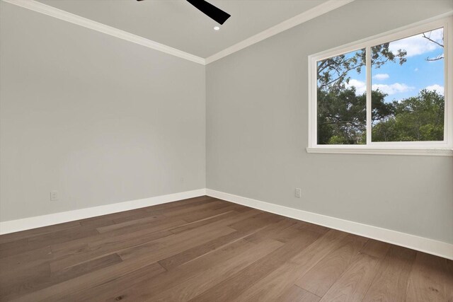 712 W Plymouth St, Tampa, FL 33603 - photo 28