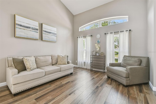 12102 Steppingstone Blvd, Tampa, FL 33635 - living area featuring wood finished floors, baseboards, and a towering ceiling