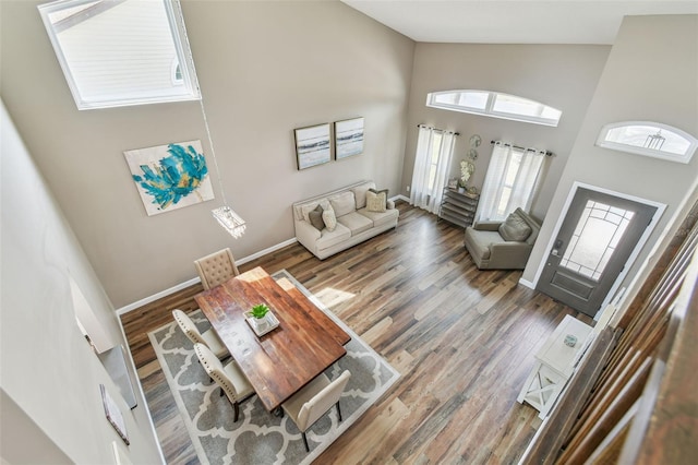 12102 Steppingstone Blvd, Tampa, FL 33635 - living area featuring high vaulted ceiling, baseboards, and wood finished floors