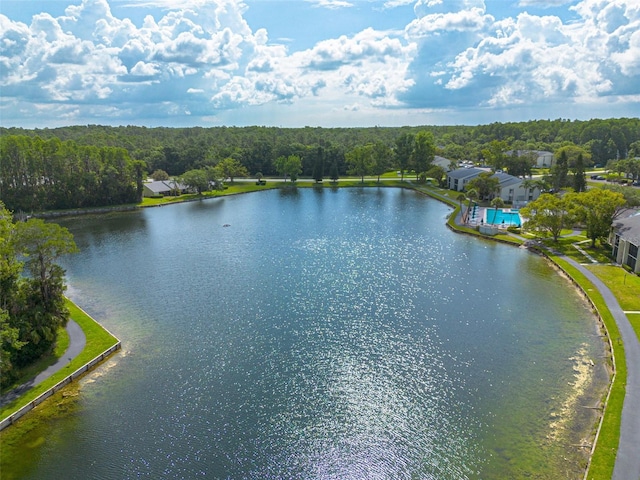 3114 Lake Pine Way Unit G1, Tarpon Springs, FL 34688 - water view with a heavily wooded area