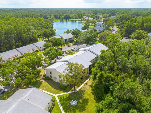 3114 Lake Pine Way Unit G1, Tarpon Springs, FL 34688 - aerial view of residential area featuring a forest and a large body of water