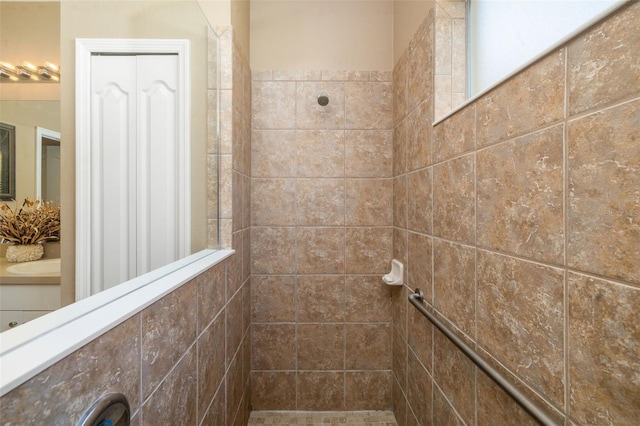 11813 Crawford Parrish Ln, Parrish, FL 34219 - full bathroom featuring tiled shower