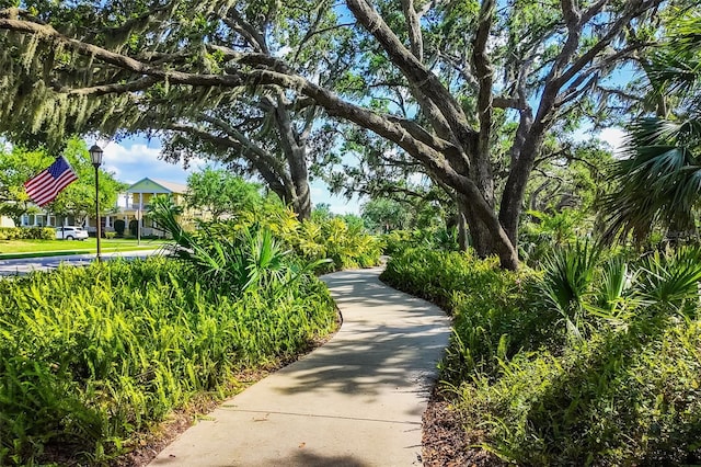 11813 Crawford Parrish Ln, Parrish, FL 34219 - view of property's community