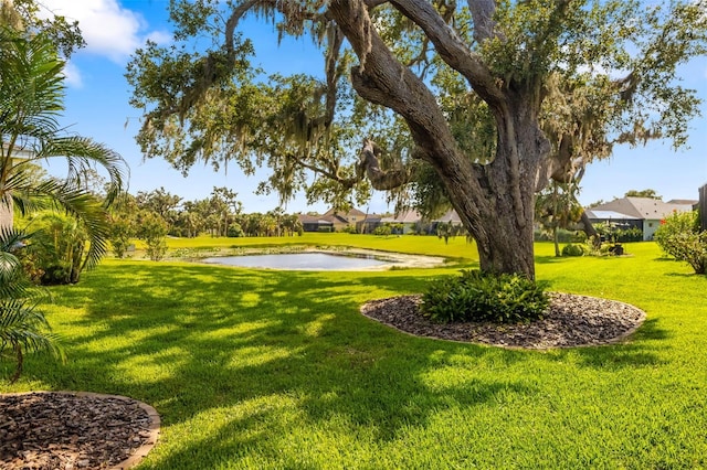 11813 Crawford Parrish Ln, Parrish, FL 34219 - view of green lawn featuring a water view
