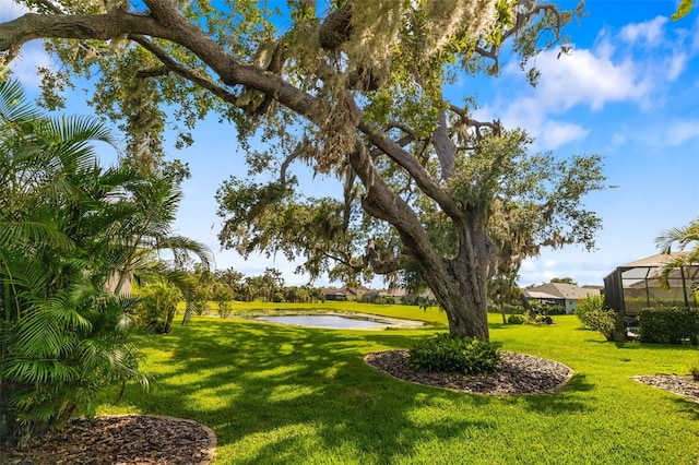 11813 Crawford Parrish Ln, Parrish, FL 34219 - view of grassy yard with a water view