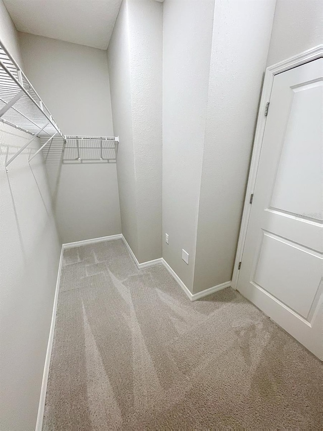 13014 Willow Grove Dr, Riverview, FL 33579 - spacious closet with carpet flooring