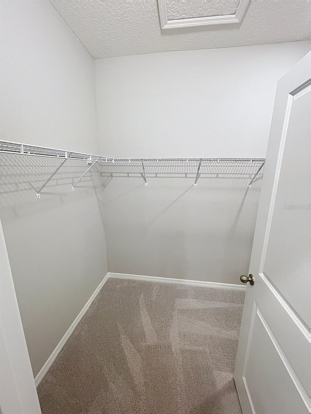 13014 Willow Grove Dr, Riverview, FL 33579 - walk in closet featuring carpet