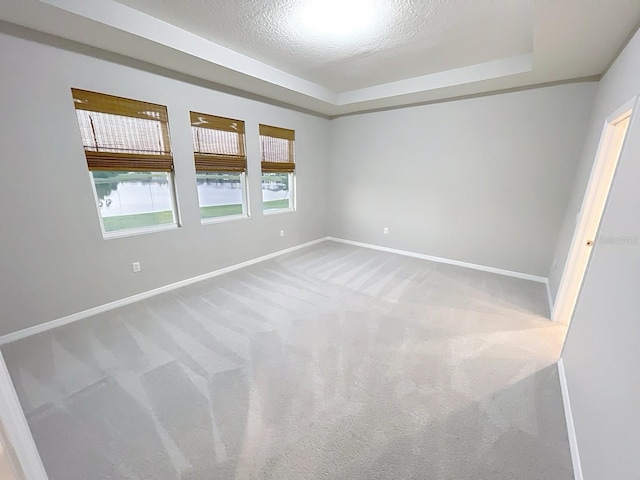 13014 Willow Grove Dr, Riverview, FL 33579 - empty room with carpet floors, baseboards, a tray ceiling, and a textured ceiling