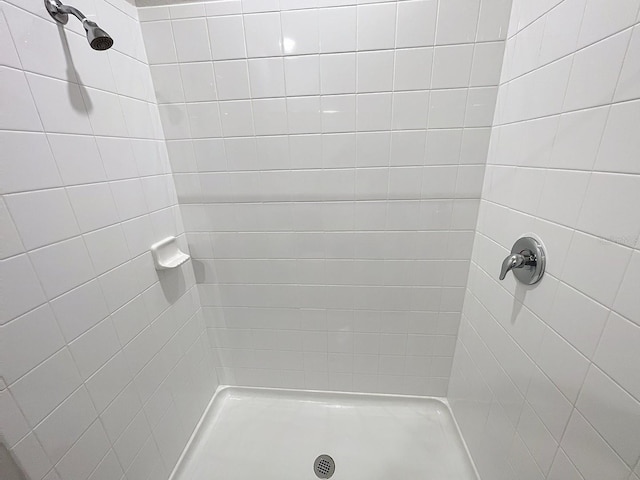 13014 Willow Grove Dr, Riverview, FL 33579 - bathroom featuring tiled shower