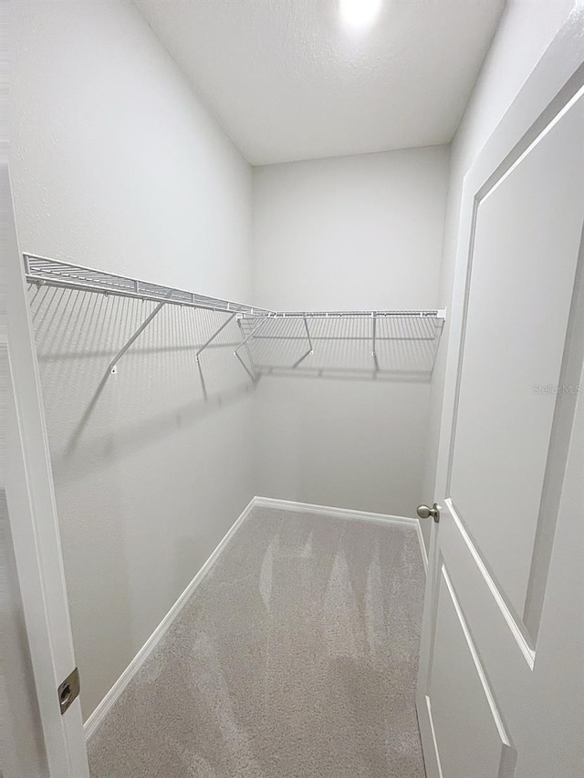 13014 Willow Grove Dr, Riverview, FL 33579 - walk in closet with carpet