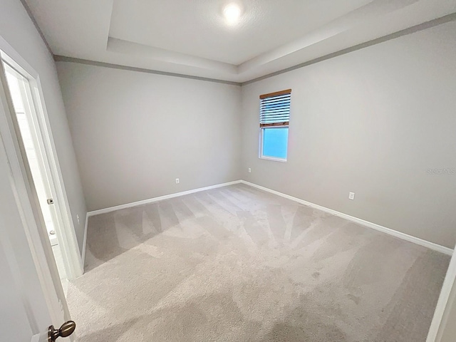 13014 Willow Grove Dr, Riverview, FL 33579 - carpeted empty room with baseboards and a tray ceiling
