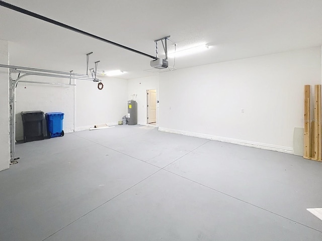 13014 Willow Grove Dr, Riverview, FL 33579 - garage with water heater and a garage door opener