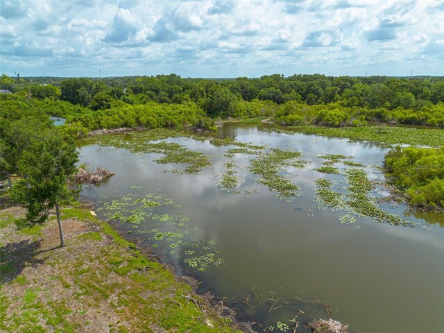 7157 Hamilton Park Blvd, Tampa, FL 33615 - photo 44