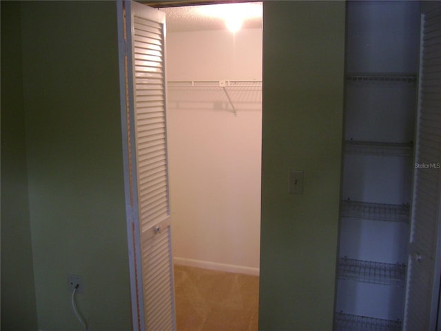 3077 Casa Del Sol Cir Unit 207, Clearwater, FL 33761 - view of closet