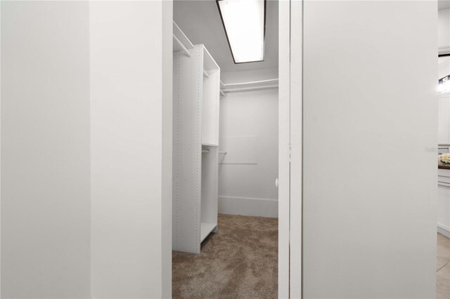 4706 Fox Hunt Dr, Tampa, FL 33624 - spacious closet with light colored carpet