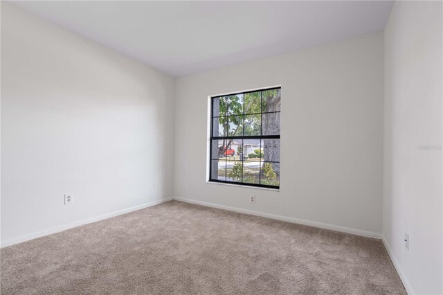 4706 Fox Hunt Dr, Tampa, FL 33624 - carpeted empty room featuring baseboards