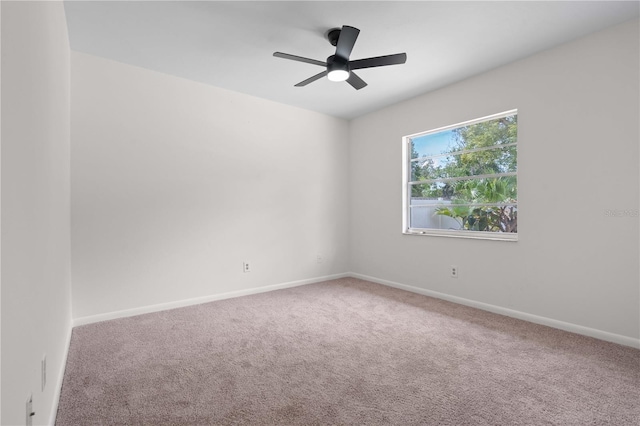4706 Fox Hunt Dr, Tampa, FL 33624 - carpeted empty room with a ceiling fan and baseboards