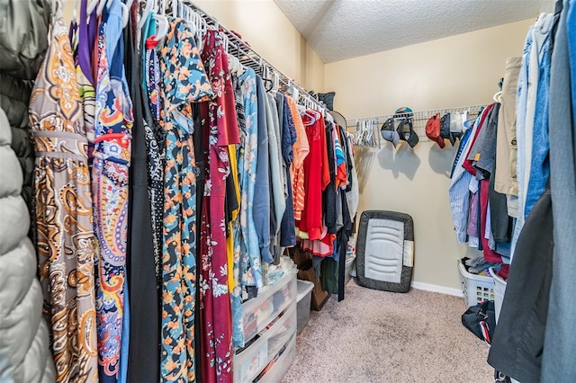 2016 Chelam Way, Brandon, FL 33511 - walk in closet featuring carpet flooring