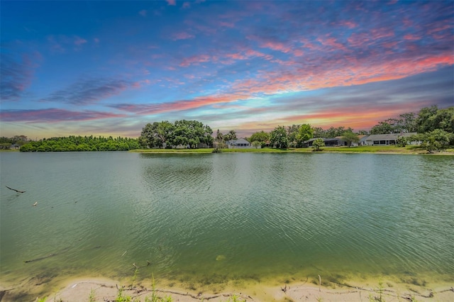 2016 Chelam Way, Brandon, FL 33511 - water view