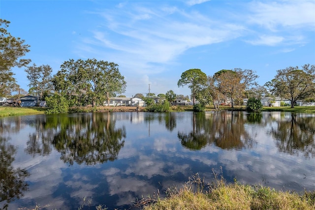 239 Freeport Ave NE, Saint Petersburg, FL 33702 - photo 26