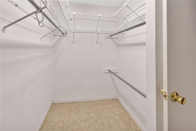1604 Comfy Ct, Sun City Center, FL 33573 - view of spacious closet
