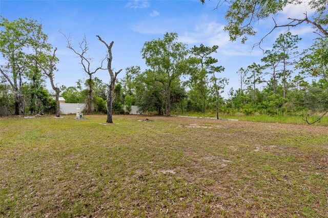 11225 Flower Ave, Weeki Wachee, FL 34613 - photo 27