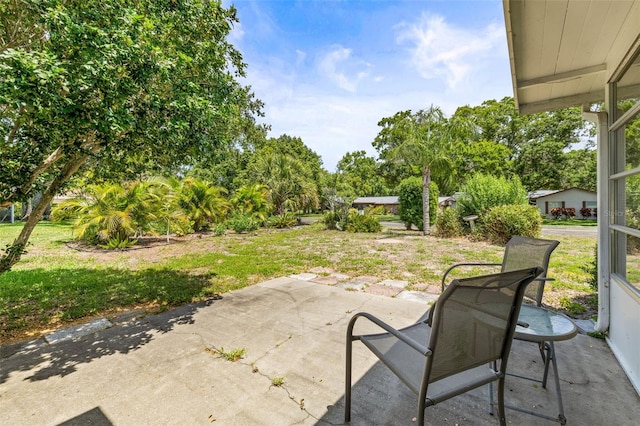 1410 Brighton Ct, Palm Harbor, FL 34684 - view of patio with view of scattered trees