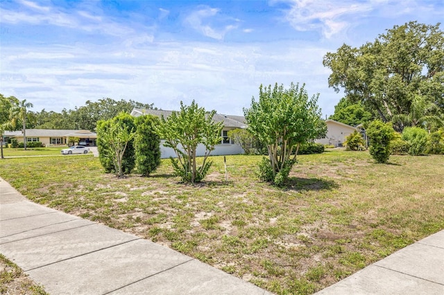 1410 Brighton Ct, Palm Harbor, FL 34684 - view of property exterior with a lawn