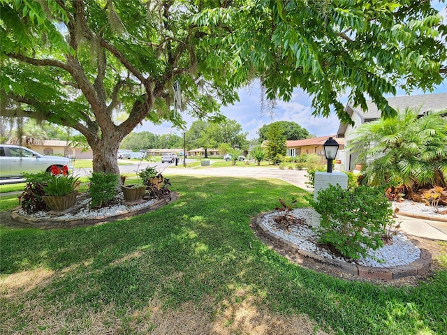 4102 Stonehenge Rd, Mulberry, FL 33860 - view of grassy yard