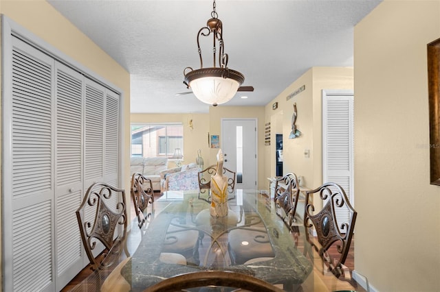 4036 Davit Dr, New Port Richey, FL 34652 - dining space with baseboards