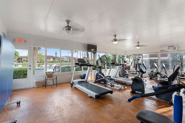 4036 Davit Dr, New Port Richey, FL 34652 - gym with ceiling fan