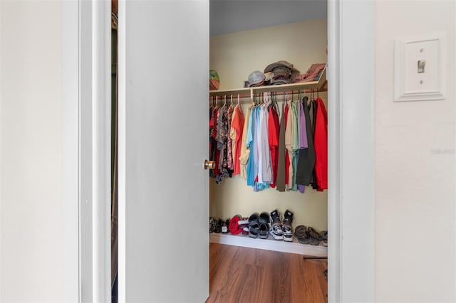 4036 Davit Dr, New Port Richey, FL 34652 - view of closet