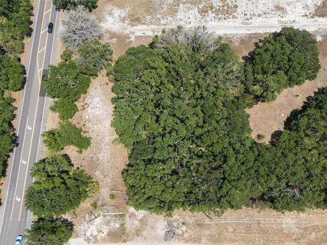 Rhodine Rd, Riverview, FL 33579