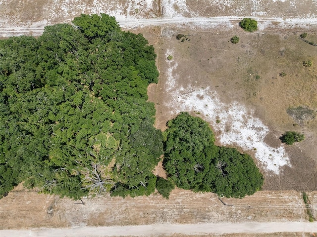 Rhodine Rd, Riverview, FL 33579
