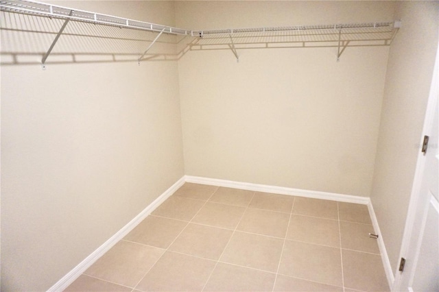 15709 Demory Point Pl, Ruskin, FL 33573 - photo 11
